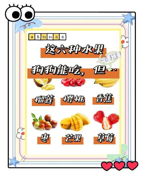 狗狗能吃哪些水果,狗狗能吃哪些水果?-第2张图片-后鲨宠物 狗狗能吃哪些水果,狗狗能吃哪些水果?-第2张图片-后鲨宠物