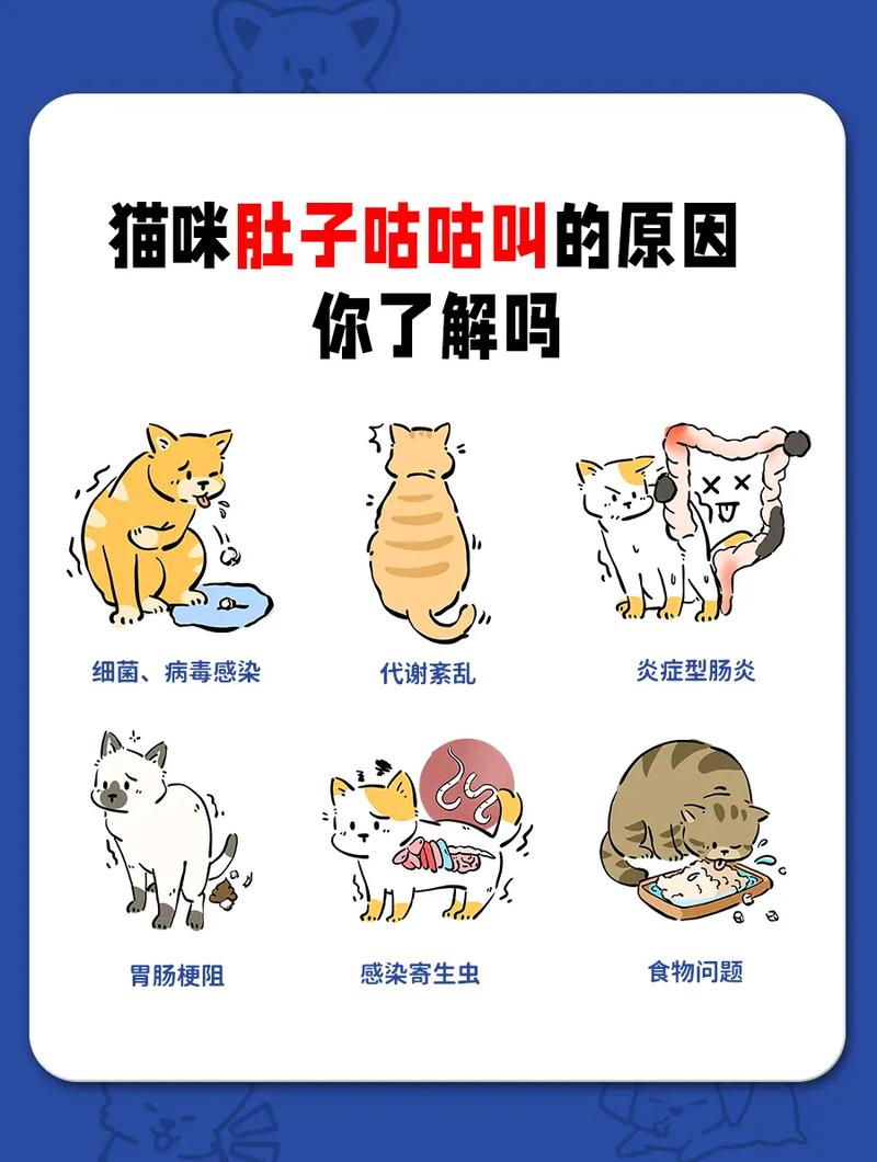 猫咪肚子咕咕叫_狗狗肚子一直咕噜咕噜叫是怎么了-第2张图片-后鲨宠物 猫咪肚子咕咕叫_狗狗肚子一直咕噜咕噜叫是怎么了-第2张图片-后鲨宠物