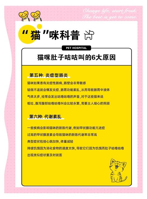 猫咪肚子咕咕叫_狗狗肚子一直咕噜咕噜叫是怎么了-第3张图片-后鲨宠物 猫咪肚子咕咕叫_狗狗肚子一直咕噜咕噜叫是怎么了-第3张图片-后鲨宠物