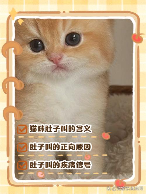 猫咪肚子咕咕叫_狗狗肚子一直咕噜咕噜叫是怎么了-第5张图片-后鲨宠物 猫咪肚子咕咕叫_狗狗肚子一直咕噜咕噜叫是怎么了-第5张图片-后鲨宠物