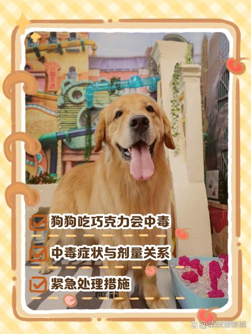 狗狗吃巧克力会怎么样_狗不小心吃了一点点巧克力怎么办-第2张图片-后鲨宠物 狗狗吃巧克力会怎么样_狗不小心吃了一点点巧克力怎么办-第2张图片-后鲨宠物