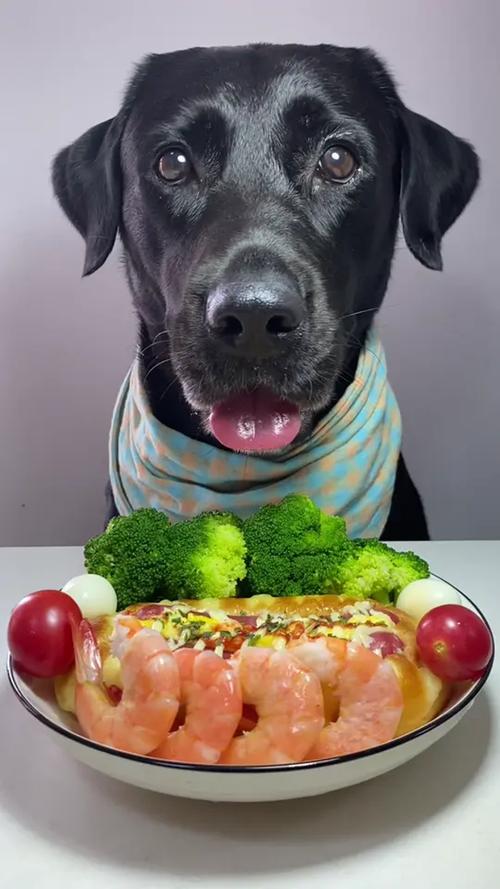 狗狗可以吃圣女果吗_狗狗可以吃圣女果吗为什么-第2张图片-后鲨宠物 狗狗可以吃圣女果吗_狗狗可以吃圣女果吗为什么-第2张图片-后鲨宠物