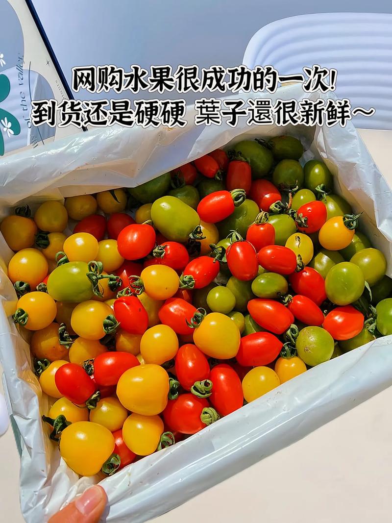 狗狗可以吃圣女果吗_狗狗可以吃圣女果吗为什么-第3张图片-后鲨宠物 狗狗可以吃圣女果吗_狗狗可以吃圣女果吗为什么-第3张图片-后鲨宠物