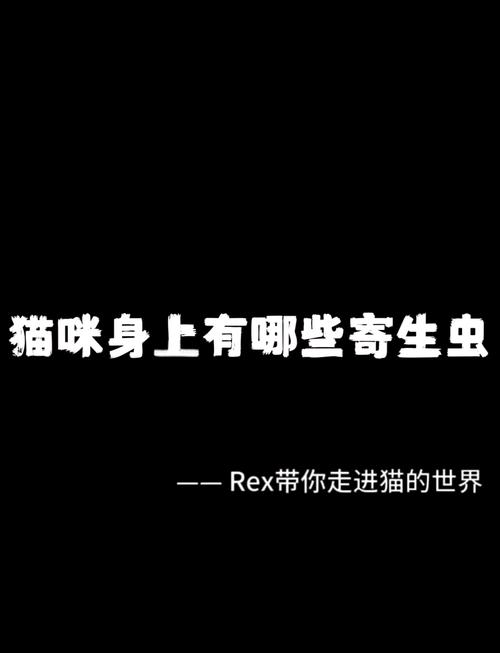 猫咪可以喝柠檬水吗,猫咪可以喝泡的柠檬水吗-第1张图片-后鲨宠物 猫咪可以喝柠檬水吗,猫咪可以喝泡的柠檬水吗-第1张图片-后鲨宠物