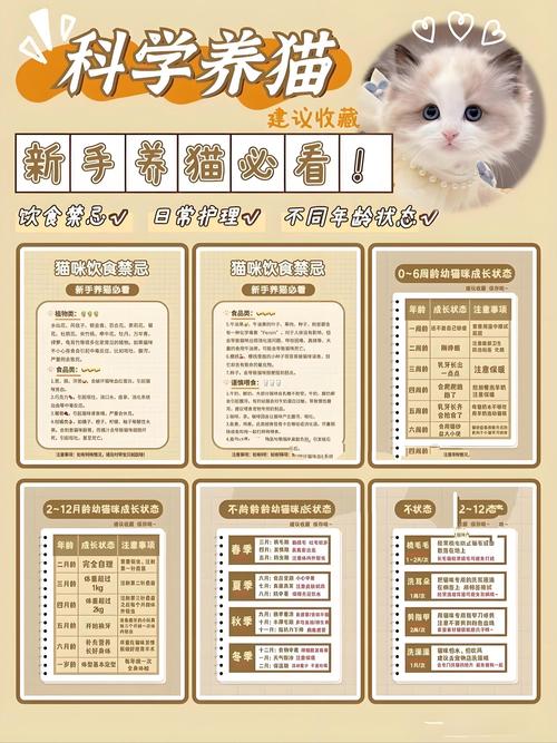 猫咪可以喝柠檬水吗,猫咪可以喝泡的柠檬水吗-第2张图片-后鲨宠物 猫咪可以喝柠檬水吗,猫咪可以喝泡的柠檬水吗-第2张图片-后鲨宠物