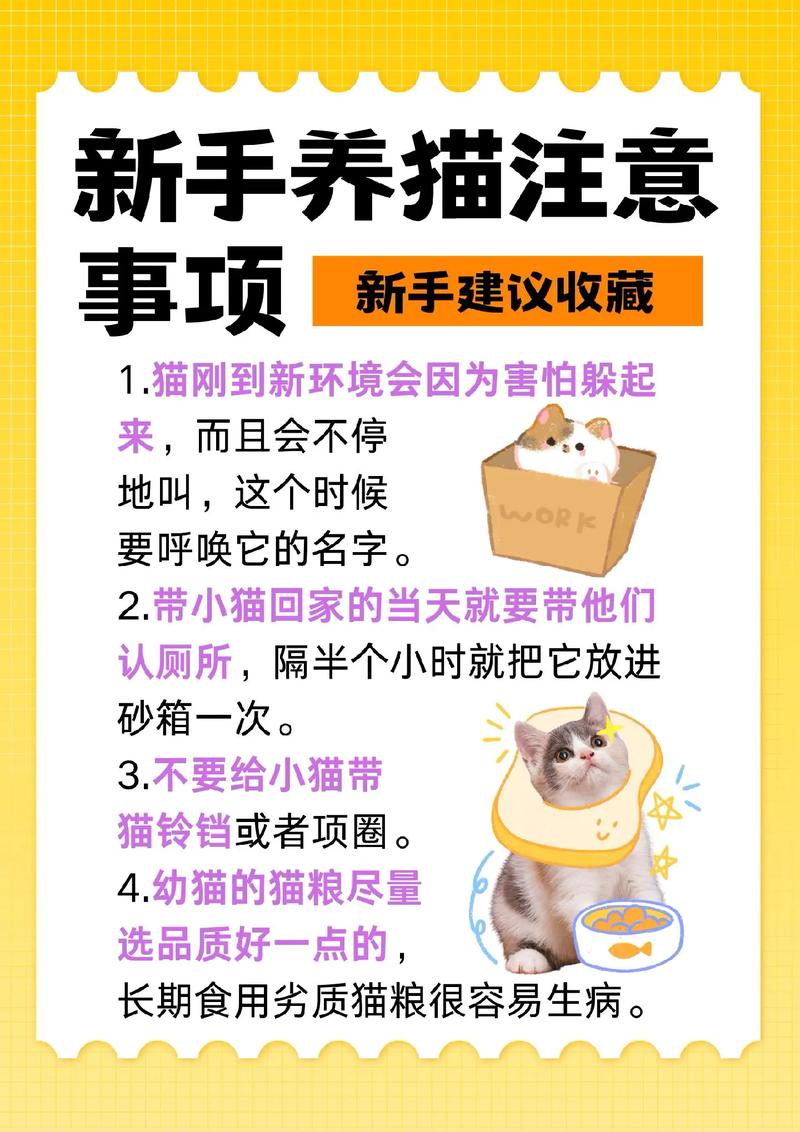 猫咪可以喝柠檬水吗,猫咪可以喝泡的柠檬水吗-第6张图片-后鲨宠物 猫咪可以喝柠檬水吗,猫咪可以喝泡的柠檬水吗-第6张图片-后鲨宠物