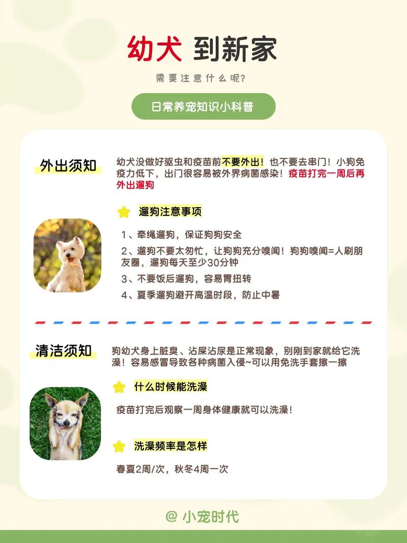 狗狗刚到新家怎么处理,狗狗刚到新家怎么处理卫生-第2张图片-后鲨宠物 狗狗刚到新家怎么处理,狗狗刚到新家怎么处理卫生-第2张图片-后鲨宠物