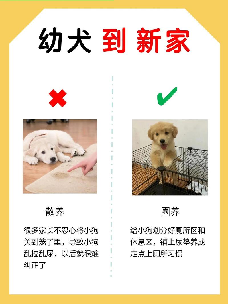 狗狗刚到新家怎么处理,狗狗刚到新家怎么处理卫生-第4张图片-后鲨宠物 狗狗刚到新家怎么处理,狗狗刚到新家怎么处理卫生-第4张图片-后鲨宠物