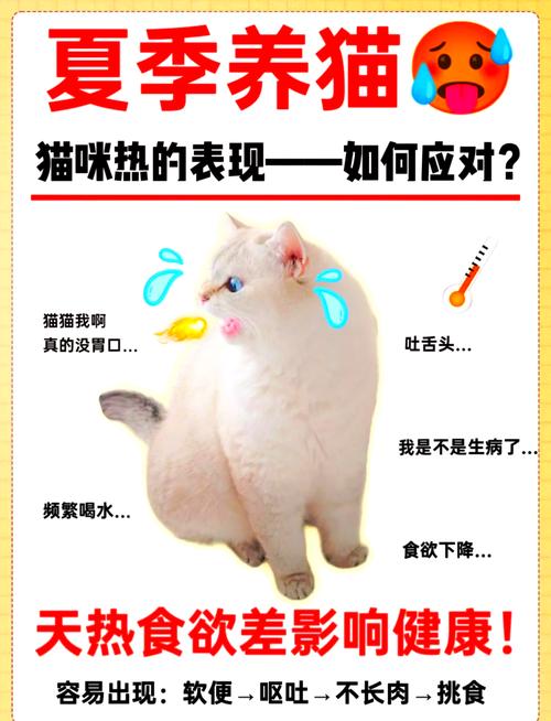 猫咪夏天能接受多少度_猫夏天多少度怕热-第1张图片-后鲨宠物 猫咪夏天能接受多少度_猫夏天多少度怕热-第1张图片-后鲨宠物