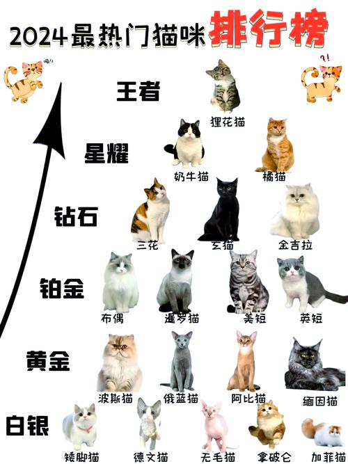猫咪夏天能接受多少度_猫夏天多少度怕热-第2张图片-后鲨宠物 猫咪夏天能接受多少度_猫夏天多少度怕热-第2张图片-后鲨宠物