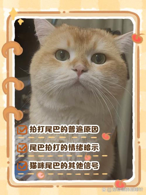 猫咪尾巴拍打地面,猫咪尾巴拍地板-第1张图片-后鲨宠物 猫咪尾巴拍打地面,猫咪尾巴拍地板-第1张图片-后鲨宠物