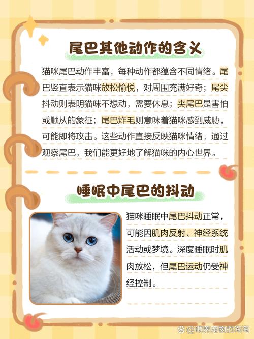 猫咪尾巴拍打地面,猫咪尾巴拍地板-第3张图片-后鲨宠物 猫咪尾巴拍打地面,猫咪尾巴拍地板-第3张图片-后鲨宠物