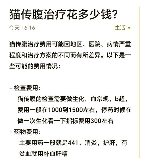 猫咪做手术大概多少钱,猫咪做手术费用?-第1张图片-后鲨宠物 猫咪做手术大概多少钱,猫咪做手术费用?-第1张图片-后鲨宠物