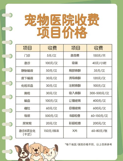 猫咪做手术大概多少钱,猫咪做手术费用?-第2张图片-后鲨宠物 猫咪做手术大概多少钱,猫咪做手术费用?-第2张图片-后鲨宠物