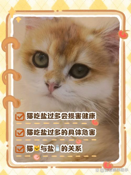 猫咪吃咸的会怎么样,猫咪吃咸了的症状-第1张图片-后鲨宠物 猫咪吃咸的会怎么样,猫咪吃咸了的症状-第1张图片-后鲨宠物