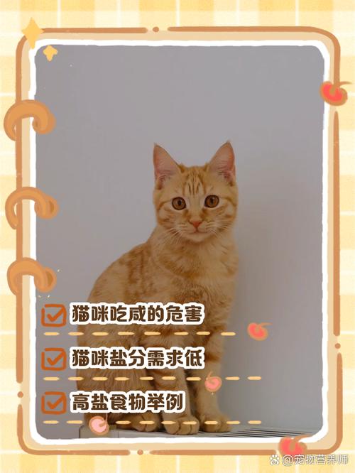 猫咪吃咸的会怎么样,猫咪吃咸了的症状-第4张图片-后鲨宠物 猫咪吃咸的会怎么样,猫咪吃咸了的症状-第4张图片-后鲨宠物