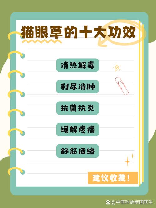 猫猫眼草的作用与用途,猫眼草有哪些功效-第4张图片-后鲨宠物 猫猫眼草的作用与用途,猫眼草有哪些功效-第4张图片-后鲨宠物