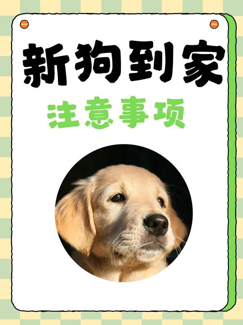 狗狗对甲醛的反应,狗狗对甲醛的反应有哪些-第3张图片-后鲨宠物 狗狗对甲醛的反应,狗狗对甲醛的反应有哪些-第3张图片-后鲨宠物