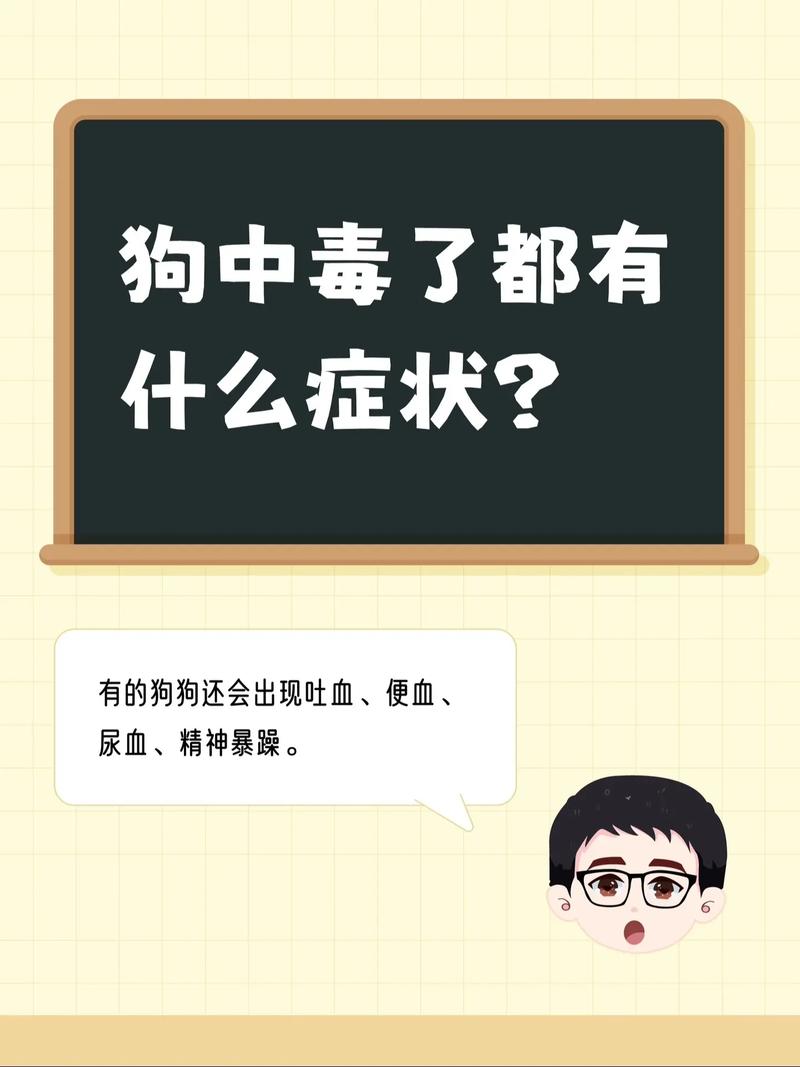 狗狗对甲醛的反应,狗狗对甲醛的反应有哪些-第5张图片-后鲨宠物 狗狗对甲醛的反应,狗狗对甲醛的反应有哪些-第5张图片-后鲨宠物