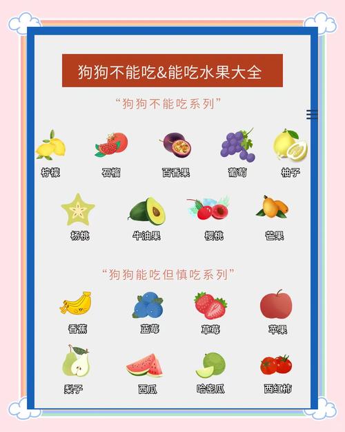 什么水果狗狗不能吃,什么水果狗狗不能吃图片-第2张图片-后鲨宠物 什么水果狗狗不能吃,什么水果狗狗不能吃图片-第2张图片-后鲨宠物