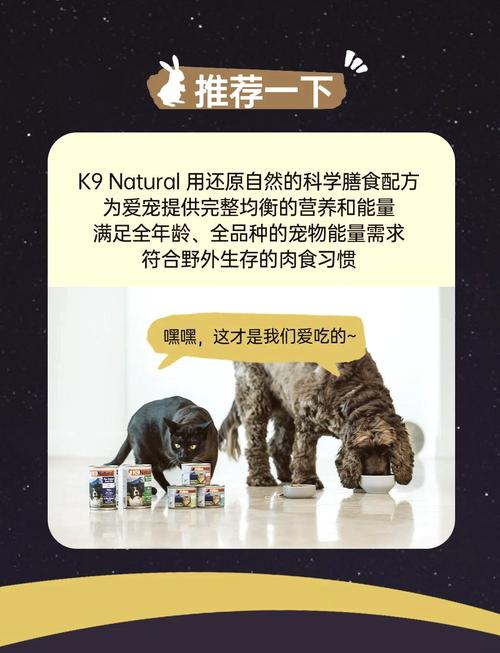 狗狗能吃月饼吗,狗狗能吃月饼么?-第1张图片-后鲨宠物 狗狗能吃月饼吗,狗狗能吃月饼么?-第1张图片-后鲨宠物