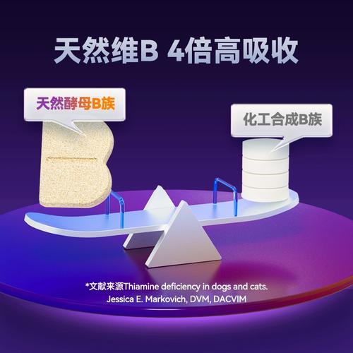 猫咪吃复合维生素b,猫咪吃复合维生素B哪个牌子好-第4张图片-后鲨宠物 猫咪吃复合维生素b,猫咪吃复合维生素B哪个牌子好-第4张图片-后鲨宠物