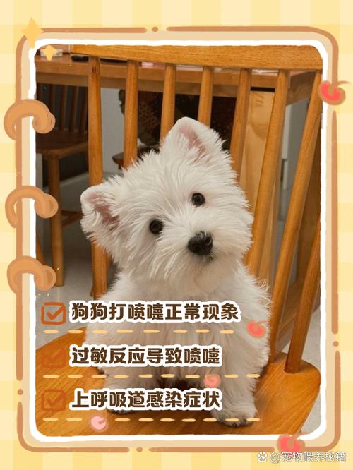 狗狗打喷嚏流鼻涕怎么回事,狗狗打喷嚏流鼻涕怎么办?-第2张图片-后鲨宠物 狗狗打喷嚏流鼻涕怎么回事,狗狗打喷嚏流鼻涕怎么办?-第2张图片-后鲨宠物