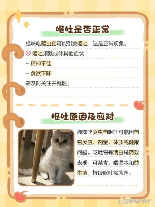 猫咪吃了驱虫药反应_猫咪吃了驱虫药反应激烈-第4张图片-后鲨宠物 猫咪吃了驱虫药反应_猫咪吃了驱虫药反应激烈-第4张图片-后鲨宠物
