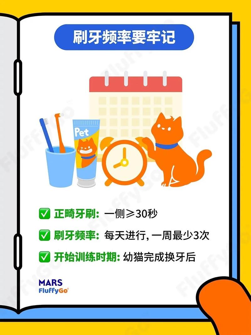 怎么给猫猫刷牙,怎么给猫猫刷牙清理口腔-第2张图片-后鲨宠物 怎么给猫猫刷牙,怎么给猫猫刷牙清理口腔-第2张图片-后鲨宠物