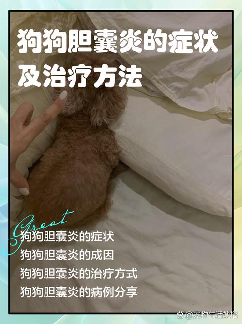 狗狗胆囊炎的早期症状,狗狗胆囊炎多少天能治好?-第3张图片-后鲨宠物 狗狗胆囊炎的早期症状,狗狗胆囊炎多少天能治好?-第3张图片-后鲨宠物