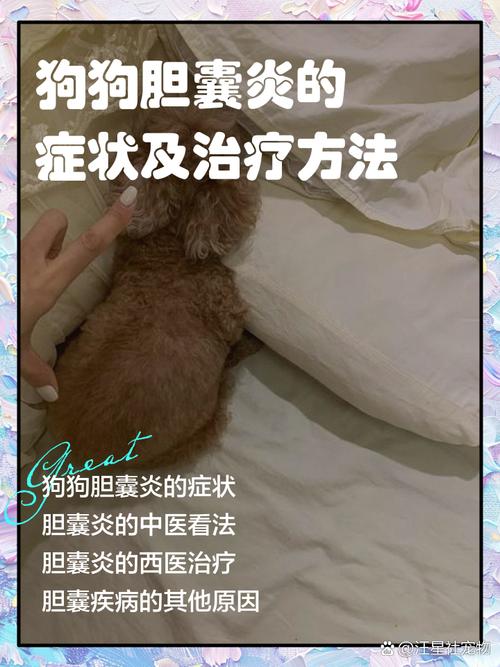 狗狗胆囊炎的早期症状,狗狗胆囊炎多少天能治好?-第5张图片-后鲨宠物 狗狗胆囊炎的早期症状,狗狗胆囊炎多少天能治好?-第5张图片-后鲨宠物