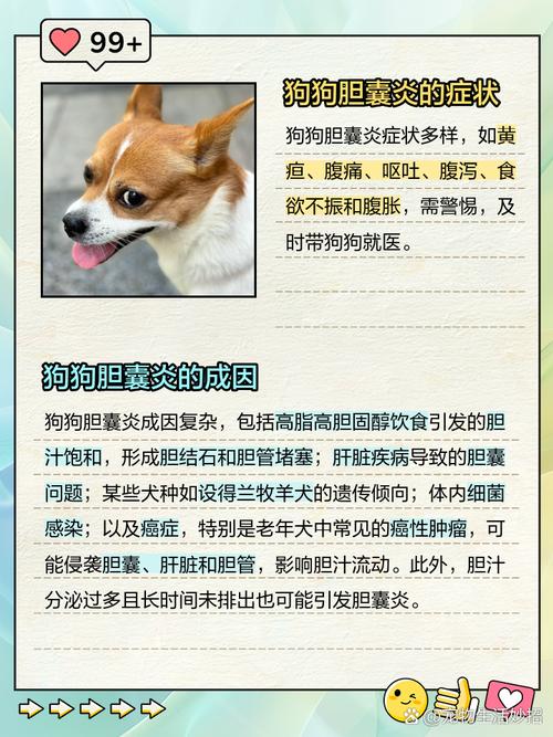 狗狗胆囊炎的早期症状,狗狗胆囊炎多少天能治好?-第6张图片-后鲨宠物 狗狗胆囊炎的早期症状,狗狗胆囊炎多少天能治好?-第6张图片-后鲨宠物