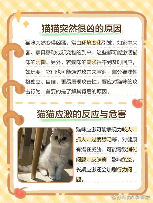 猫咪突然变得很凶_猫咪突然变得很凶想咬人还一直叫-第1张图片-后鲨宠物 猫咪突然变得很凶_猫咪突然变得很凶想咬人还一直叫-第1张图片-后鲨宠物