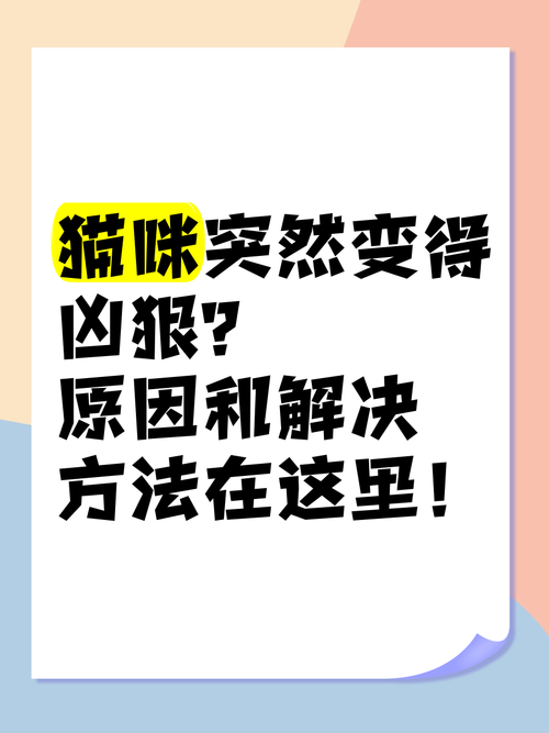 猫咪突然变得很凶_猫咪突然变得很凶想咬人还一直叫-第5张图片-后鲨宠物 猫咪突然变得很凶_猫咪突然变得很凶想咬人还一直叫-第5张图片-后鲨宠物