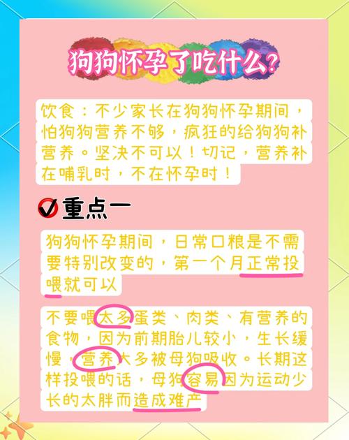 狗狗怀孕吃什么有营养,狗狗怀孕吃什么有营养饭-第3张图片-后鲨宠物 狗狗怀孕吃什么有营养,狗狗怀孕吃什么有营养饭-第3张图片-后鲨宠物
