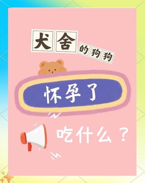 狗狗怀孕吃什么有营养,狗狗怀孕吃什么有营养饭-第6张图片-后鲨宠物 狗狗怀孕吃什么有营养,狗狗怀孕吃什么有营养饭-第6张图片-后鲨宠物