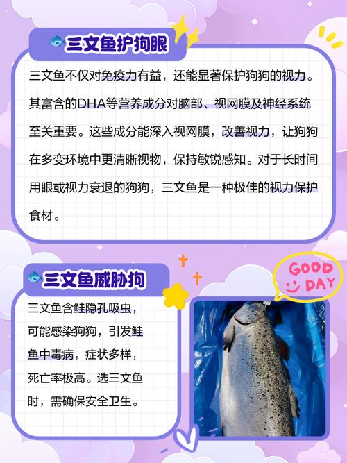 狗狗吃三文鱼过敏症状,狗吃三文鱼拉稀怎么办-第5张图片-后鲨宠物 狗狗吃三文鱼过敏症状,狗吃三文鱼拉稀怎么办-第5张图片-后鲨宠物