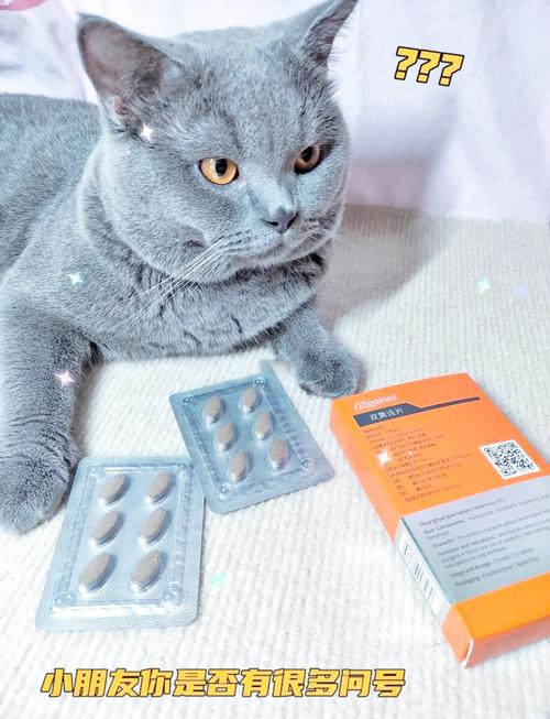 猫咪发烧吃什么药,猫咪发烧吃什么药最有效?-第5张图片-后鲨宠物 猫咪发烧吃什么药,猫咪发烧吃什么药最有效?-第5张图片-后鲨宠物
