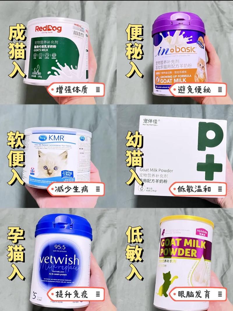 猫咪羊奶粉怎么喂,猫咪羊奶粉怎么喂比较好-第5张图片-后鲨宠物 猫咪羊奶粉怎么喂,猫咪羊奶粉怎么喂比较好-第5张图片-后鲨宠物