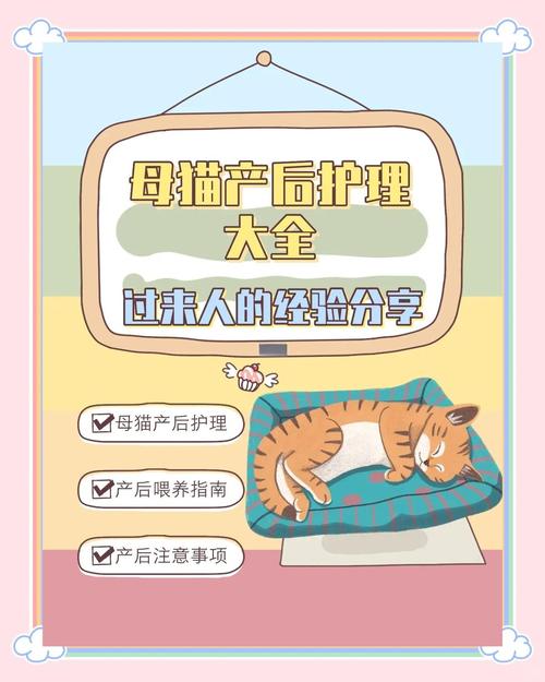 猫咪生了怎么办,猫咪生完小猫后吃什么补身体?-第1张图片-后鲨宠物 猫咪生了怎么办,猫咪生完小猫后吃什么补身体?-第1张图片-后鲨宠物