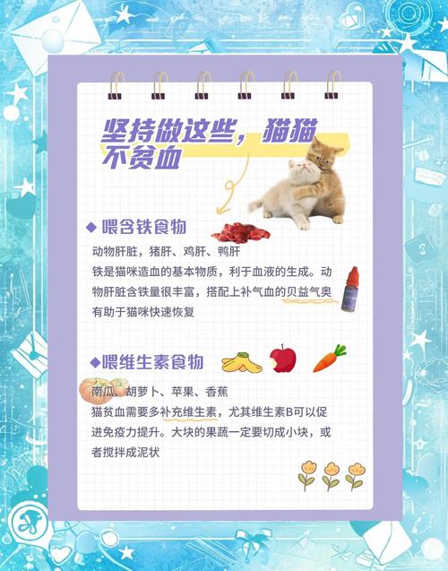 猫咪贫血怎么补_猫咪贫血补充什么维生素-第3张图片-后鲨宠物 猫咪贫血怎么补_猫咪贫血补充什么维生素-第3张图片-后鲨宠物