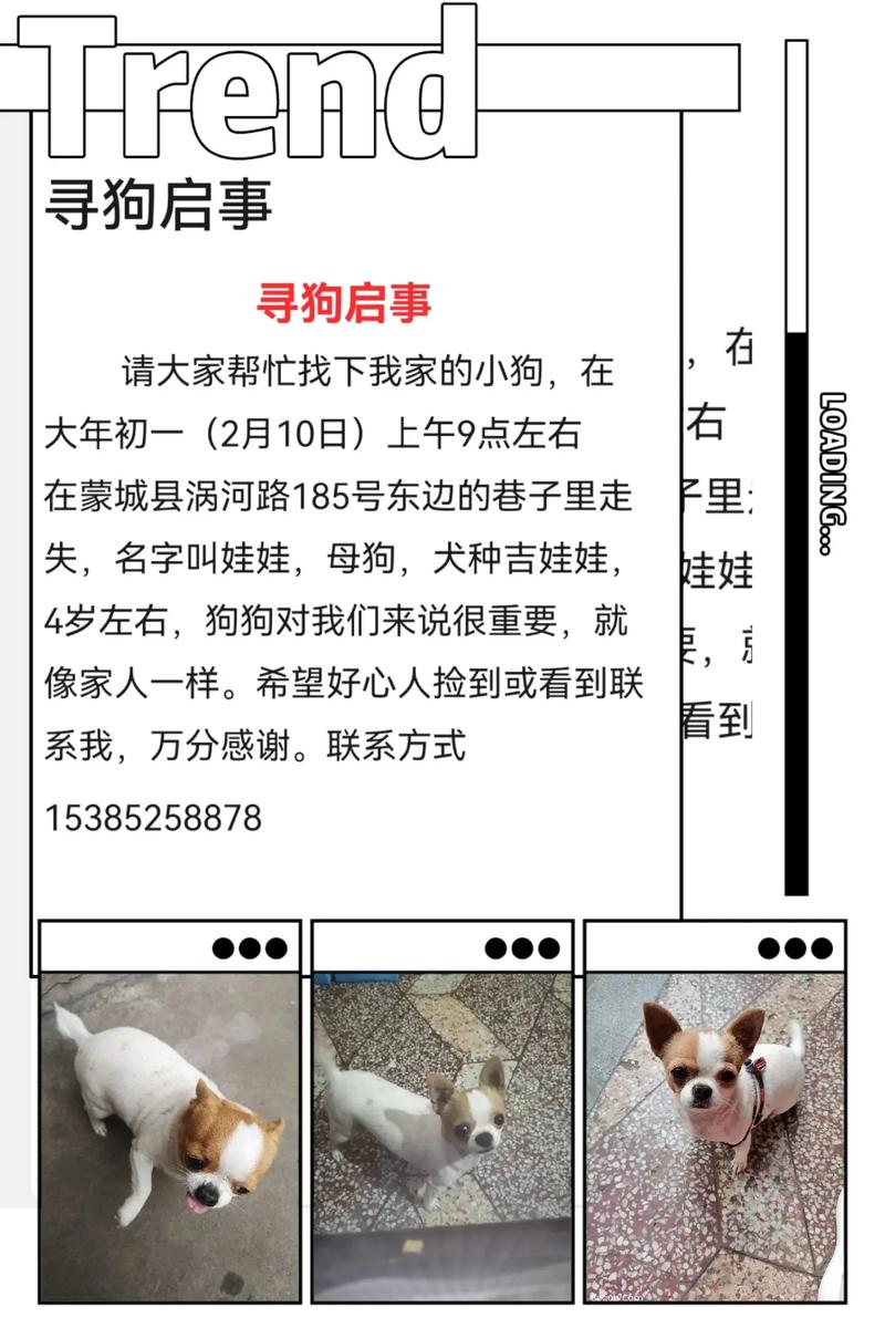 有意义的狗狗名字_有意义的狗狗名字英文-第5张图片-后鲨宠物