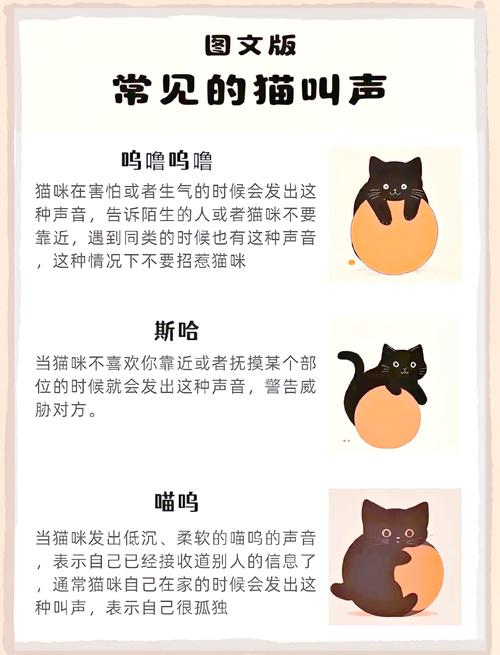 猫咪有变声期吗_猫咪有变声器吗-第1张图片-后鲨宠物 猫咪有变声期吗_猫咪有变声器吗-第1张图片-后鲨宠物