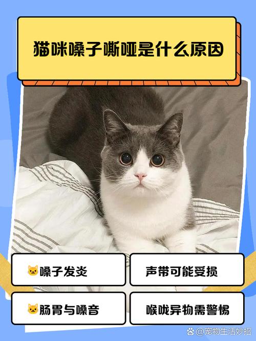 猫咪有变声期吗_猫咪有变声器吗-第6张图片-后鲨宠物 猫咪有变声期吗_猫咪有变声器吗-第6张图片-后鲨宠物