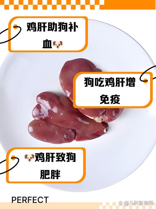 牛肝狗狗可以吃吗,牛肝狗狗可以吃吗有毒吗?-第1张图片-后鲨宠物 牛肝狗狗可以吃吗,牛肝狗狗可以吃吗有毒吗?-第1张图片-后鲨宠物