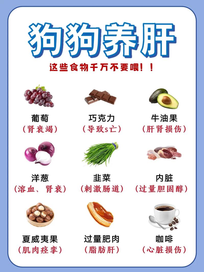 牛肝狗狗可以吃吗,牛肝狗狗可以吃吗有毒吗?-第2张图片-后鲨宠物 牛肝狗狗可以吃吗,牛肝狗狗可以吃吗有毒吗?-第2张图片-后鲨宠物