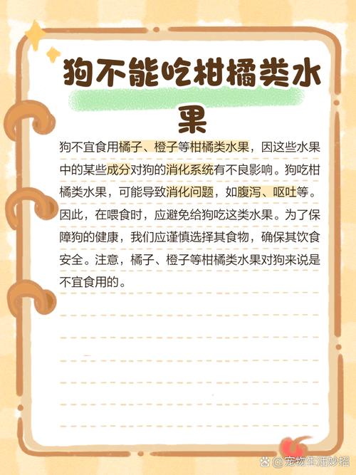 狗狗能吃橙子吗_狗狗能吃橙子吗泰迪可以吃吗-第3张图片-后鲨宠物 狗狗能吃橙子吗_狗狗能吃橙子吗泰迪可以吃吗-第3张图片-后鲨宠物
