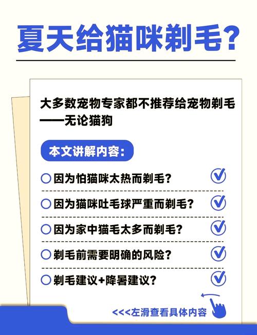 猫咪夏天要剃毛吗,猫夏天剃毛好吗?-第3张图片-后鲨宠物 猫咪夏天要剃毛吗,猫夏天剃毛好吗?-第3张图片-后鲨宠物