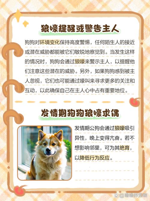 狗狗发出狼叫声的原因,狗狗发出狼叫声的原因分析-第2张图片-后鲨宠物 狗狗发出狼叫声的原因,狗狗发出狼叫声的原因分析-第2张图片-后鲨宠物