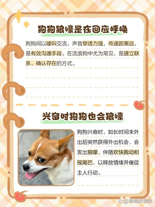 狗狗发出狼叫声的原因,狗狗发出狼叫声的原因分析-第3张图片-后鲨宠物 狗狗发出狼叫声的原因,狗狗发出狼叫声的原因分析-第3张图片-后鲨宠物